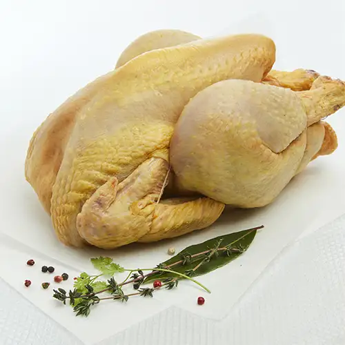 Coq